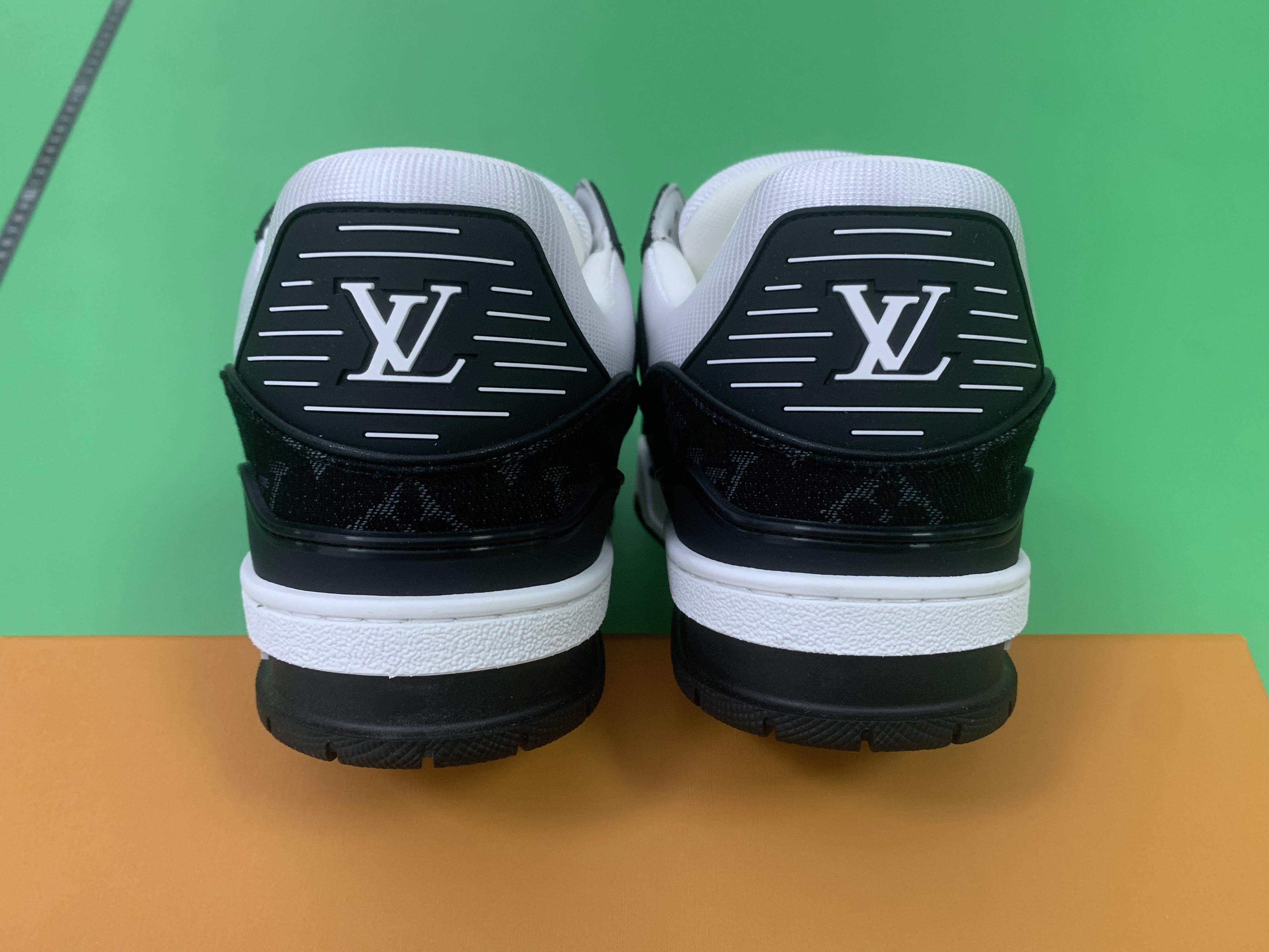 Louis Vuitton Multi-Color Low Top Sneakers -5