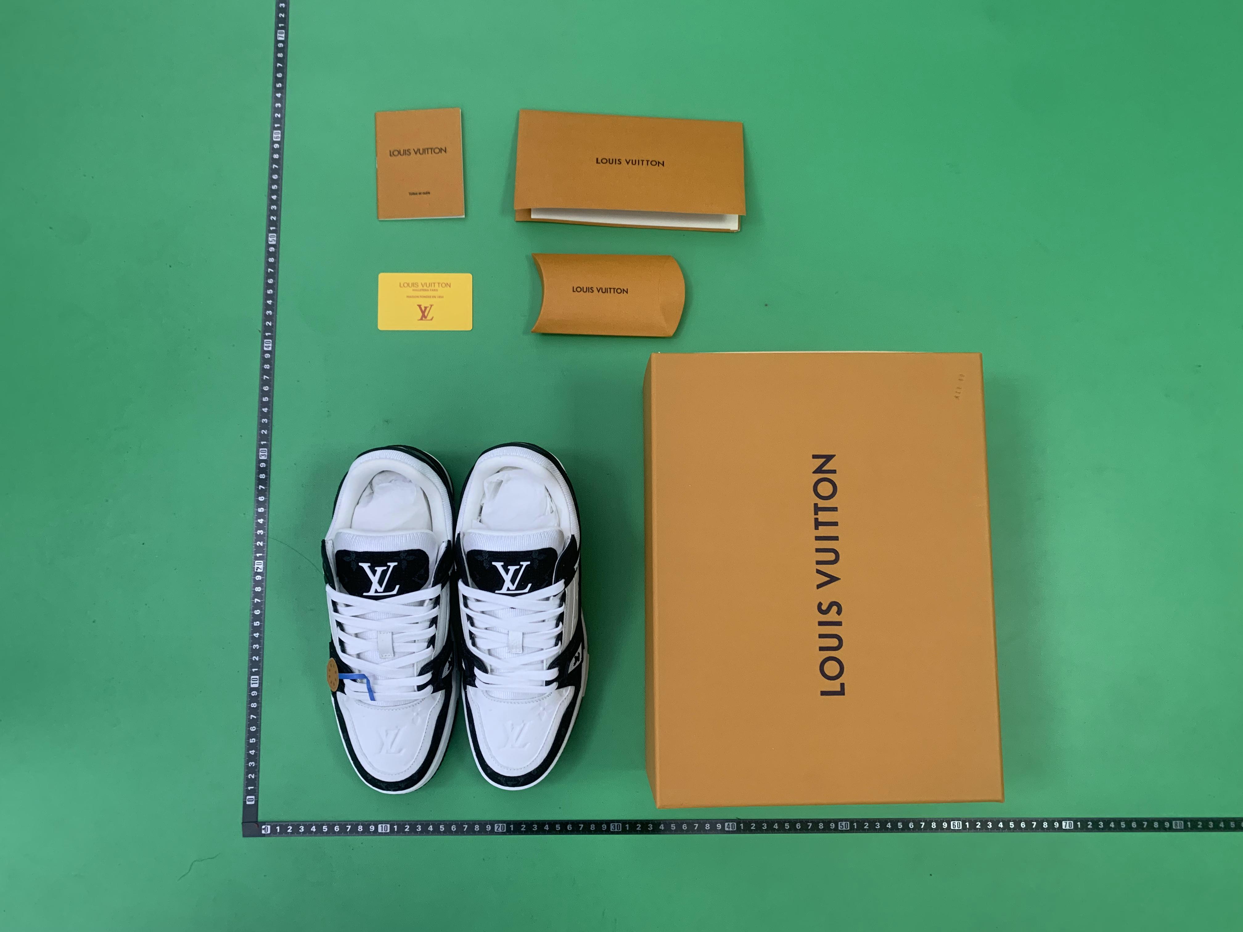 Louis Vuitton Multi-Color Low Top Sneakers -6