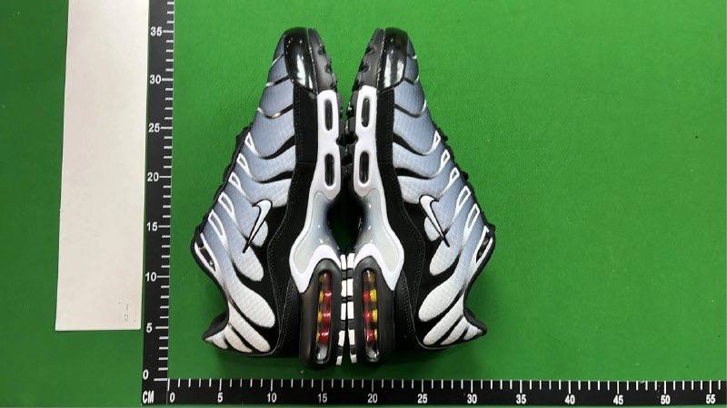 Nike Air Max Plus TN Batch – Comfort & Style -2