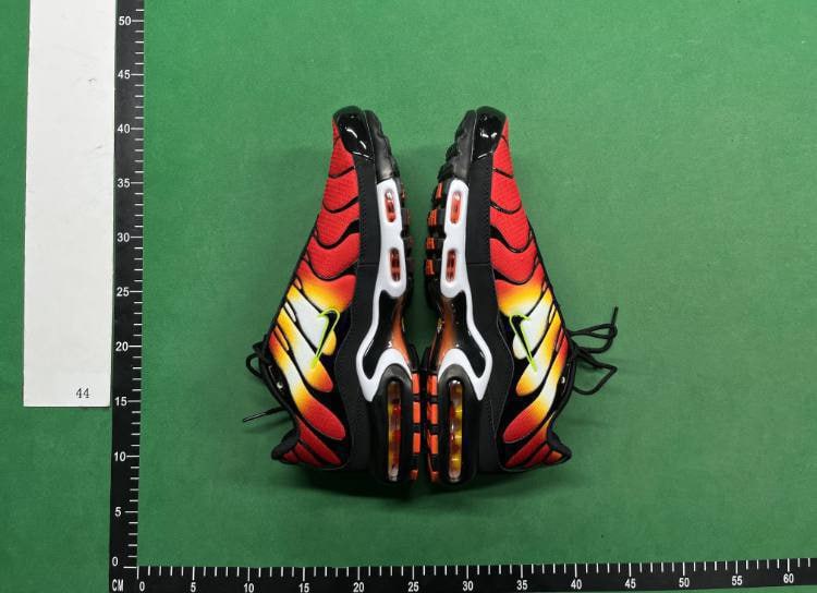 Nike Air Max Plus TN Batch – Comfort & Style -1