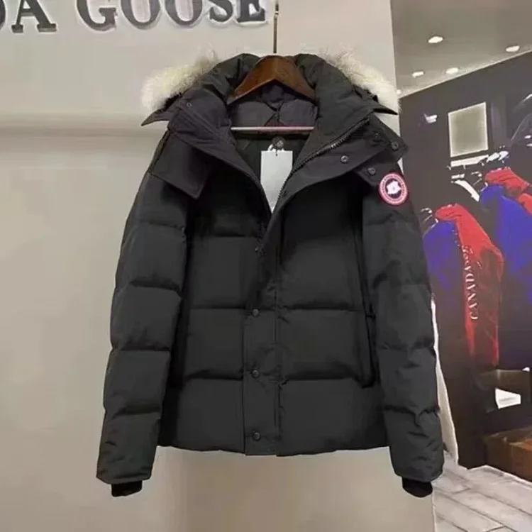 Canada Goose Black Down Jacket - Premium Insulatio